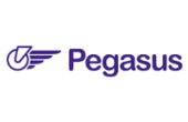 Pegasus