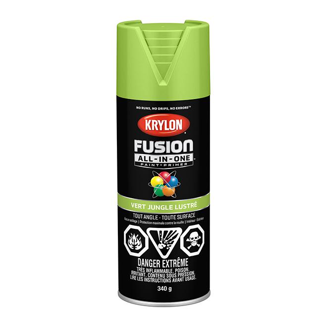 Peinture en aérosol Krylon Fusion 340g lustrée - Vert jungle