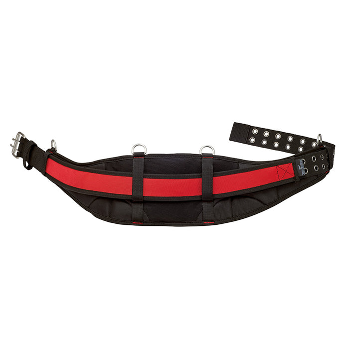 Ceinture dorsale