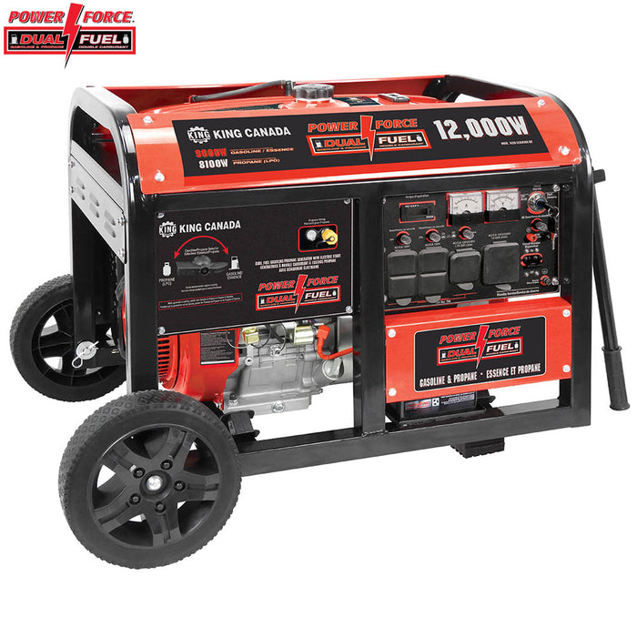 Génératrice à essence et propane 12 000W