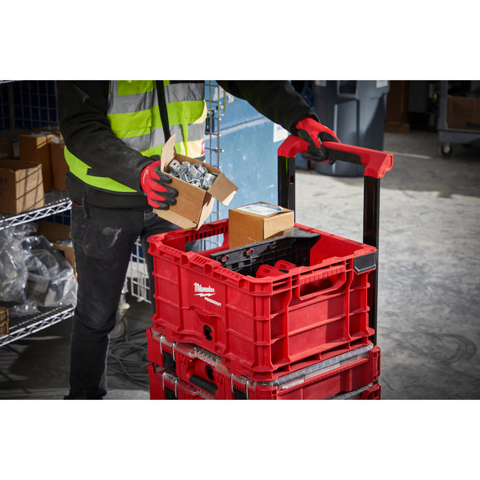 Diviseur pour caisse Packout