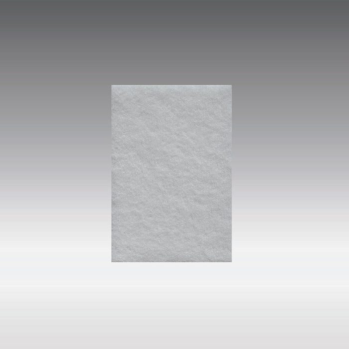 Tampon abrasif 6"x9" – 00