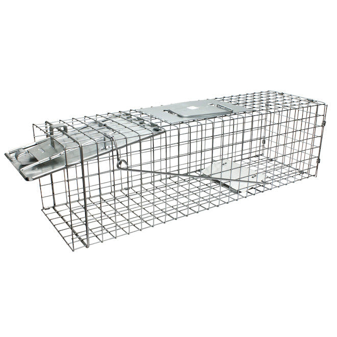 Piège de taille moyenne en acier galvanisé Ekco