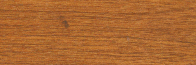 Teinture intérieure à base d'eau pour plancher et boiserie - Tan - 940 mL Finitec