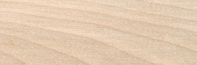 Teinture intérieure à base d'eau pour plancher et boiserie - Artic - 236 mL Finitec
