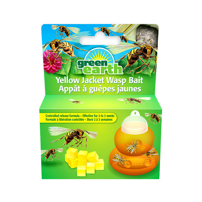 Appât pour piège à guêpe en plastique Wasp Out Green Earth