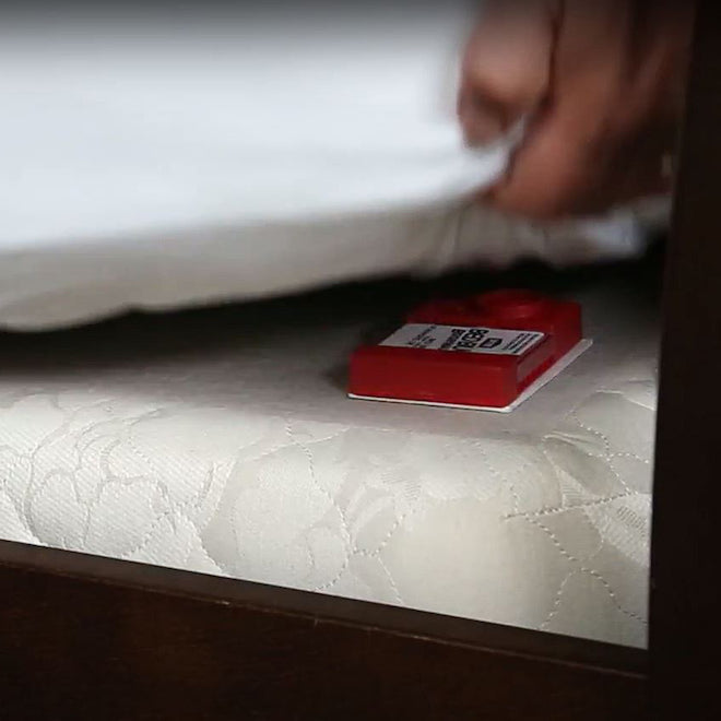 Pièges à punaises de lit Bed Bug Bgon MAX - Paquet de 2 Ortho