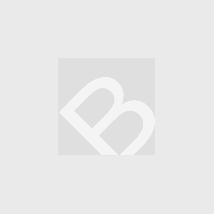 Bouchon de baril NPS 2" fin