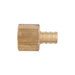 Adaptateur en laiton sans plomb 1/2" Pex X 1/2" (F) NPT PlomSource - Quincaillerie G.H. Berger