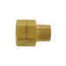 Raccord en laiton mâle/femelle 1/4" (M) NPT X 1/4" (F) NPT PlomSource - Quincaillerie G.H. Berger