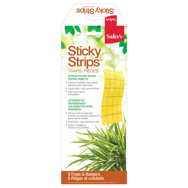 Bandes collantes pour petits insectes volants - Paquet de 5 Safer's