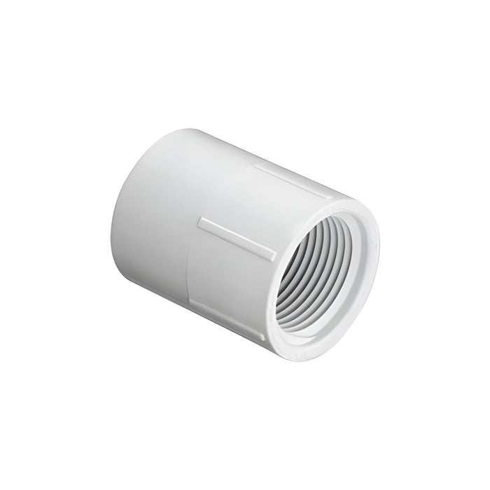 Adaptateur en plastique Slip X FPT 1/2" Spears - Quincaillerie G.H. Berger