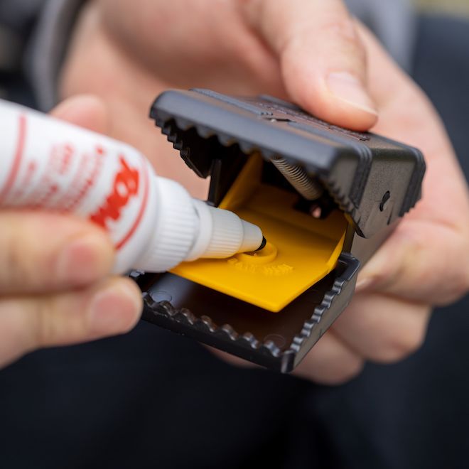 Piège à souris en guillotine Tomcat - Paquet de 2